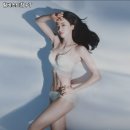 팀비스트