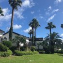 팜트리 빌리지 | 제주 팜트리빌리지 4동에서 2박한 후기