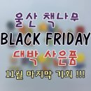 울산 책나무본점 블랙프라이데이~11/30까지 *재고소진시 일부종료됩니다* 이미지