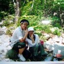 모전자전 이미지