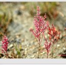 노도모텔 이미지