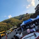 CU 봉산점 | 2025 김천김밥축제 첫날 후기 및 이동방법 꿀팁