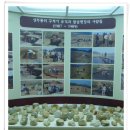 양구선사박물관 이미지