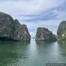 베가스테이 | 10. 하롱베이 크루즈