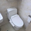 분당-201 | 분당 변기교체 - 금곡동 청솔마을 대원8단지아파트 저렴한 양변기교체비용 (대림 바트라 BC-201)