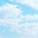 캘리그라피 (주간) 이미지