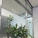 천안변호사, 법무법인 대인 천안사무소