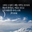 마태복음 24장 36절 (창세기강해85 노아의 홍수가 주는 교훈) 이미지