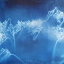 WATERSCAPE 이미지