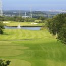 그린필드 이미지