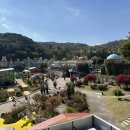 치킨랜드 | 에버랜드 식당 추천 가든테라스 메뉴 후기 피자, 치즈볼과 치킨, 카레, 샐러드