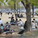 서울척척의원 네이버블로그