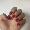 🌙 [강남/압구정] 압구정네일 젤네일 원컬러 후기 | 몰리업 네일앤래쉬