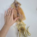 대창건어물 네이버블로그