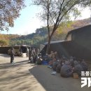 달봉이네 이미지