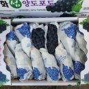 강화섬농장 이미지