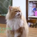 대박민박 이미지