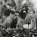 강정동-4 이미지