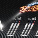 모닝글로리 이미지