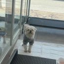보나미용샵