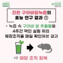 팜듀참선진녹즙 - 북구 태암로3길 9 | 팜듀참선진녹즙