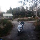 강진터미널마트 이미지