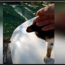 포스마트 이미지