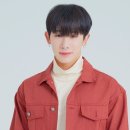 팀라인엑스