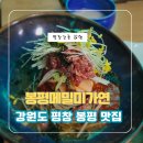 강원도 평창 맛집 봉평메밀미가연 건강한 메밀막국수 후기
