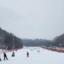 겨울 액티비티의 정석, 비발디파크 스키강습 아지트 스키보드스쿨 완전 정복 후기