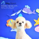 도그스케치 이미지