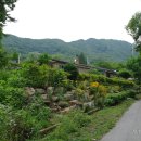 영화마을 이미지