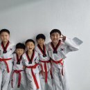 화명한국태권도 이미지