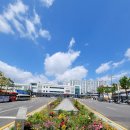 이마트 앞 교통섬 이미지