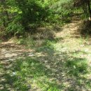 삼보하우스 이미지