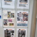 광진동물병원 | 광진구 자양동 준동물병원 마루의 침치료 심장검사 후기