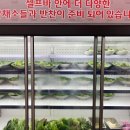 강길도낙지마을 이미지