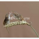 문정주공마트 이미지