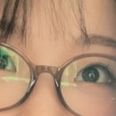 아비드안경콘택트 신림본점 이미지