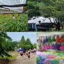 북초교병설유치원 이미지