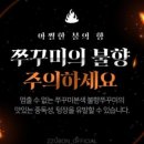 쭈꾸미본색 이미지