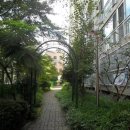 양덕동107 이미지