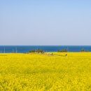 호미곶관광단지 이미지