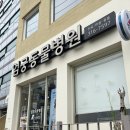 현대동물병원 | 부산 엄궁종합동물병원 후기 없길래 직접 가봄, 치주염 치아흡수성병변