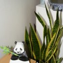 세길농장 이미지