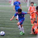 장승포초등학교 이미지