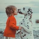 정서동물병원 이미지