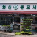 영광농약종묘사 이미지