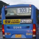 신현사거리 거북프라자 앞 | 인천 103번 간선(동춘동 차고지-동춘2동 행정복지센터-나사렛 국제병원-청량초-연수구청(입구)-남동대교...