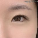 제인 속눈썹 네이버블로그